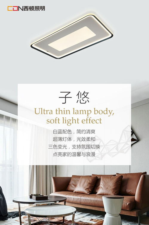 西顿照明产品 时尚简约吸顶灯,装点品质家居