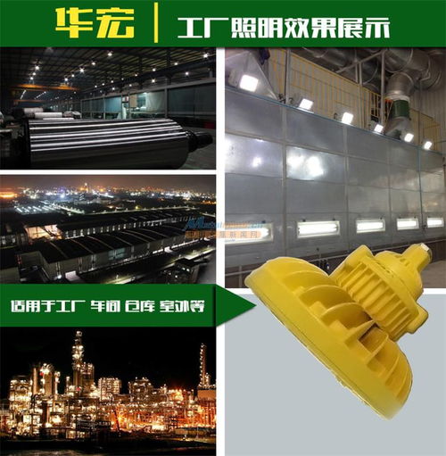 防爆led照明灯 高效led照明灯 led工厂灯
