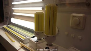 法兰克福展led组件台厂艾笛森以高附加价值吸引国际买家目光
